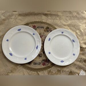 Adderley England Set of 2 Dinner Plates
